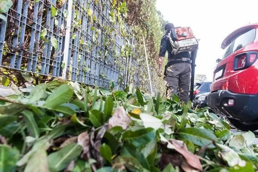 Immagine 18 azienda EDEN GARDEN