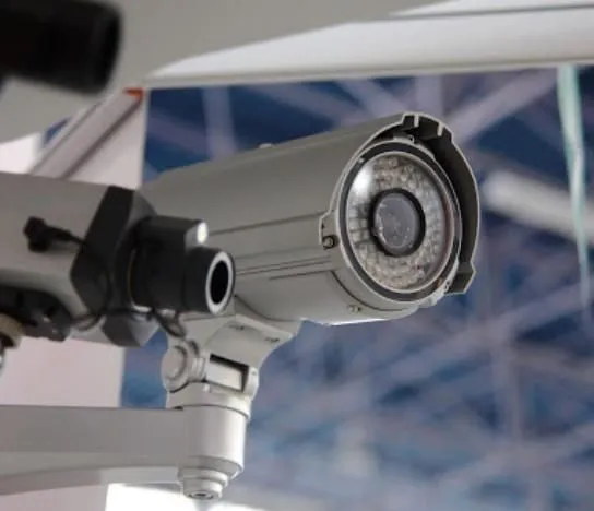 Immagine 7 azienda VIGIL SERVICE