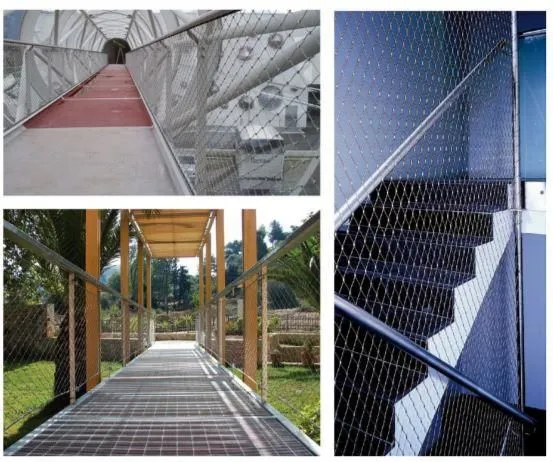 Immagine 2 azienda RISP