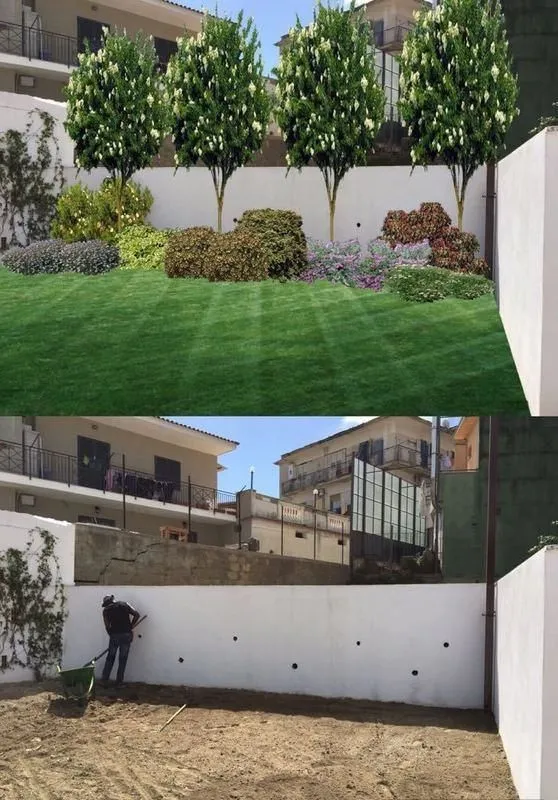 Immagine 1 azienda VIVAI MAISTO ANTONIO E FRANCESCO