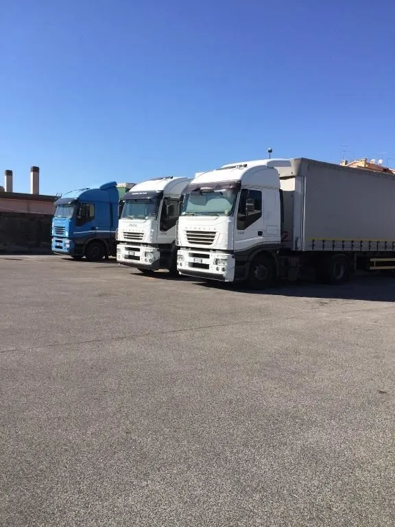 Immagine 2 azienda BORGIA TRASPORTI