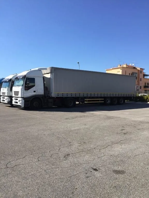 Immagine 3 azienda BORGIA TRASPORTI