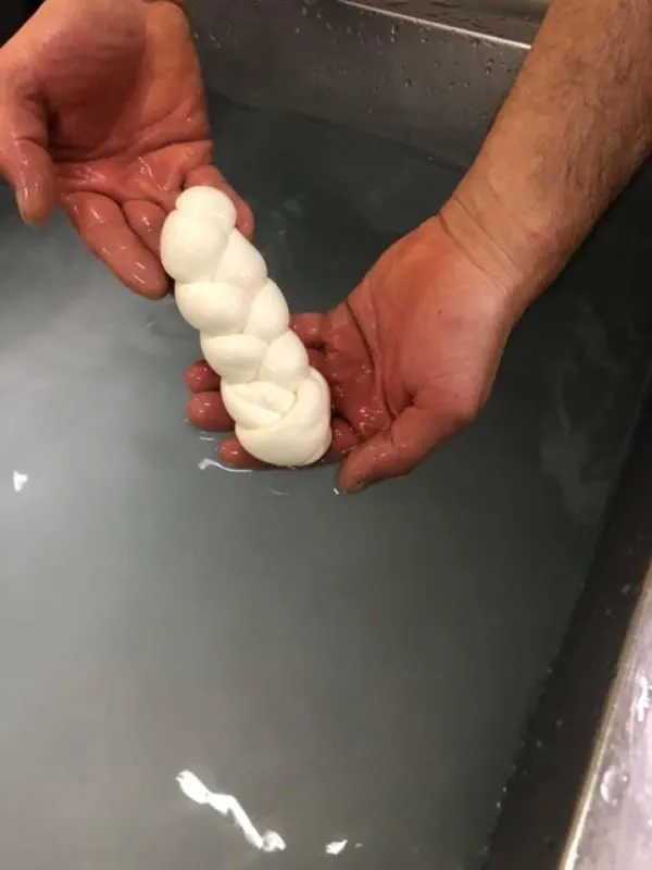 Immagine 3 azienda LA CONTADINA MOZZARELLA DI BUFALA CAMPANA