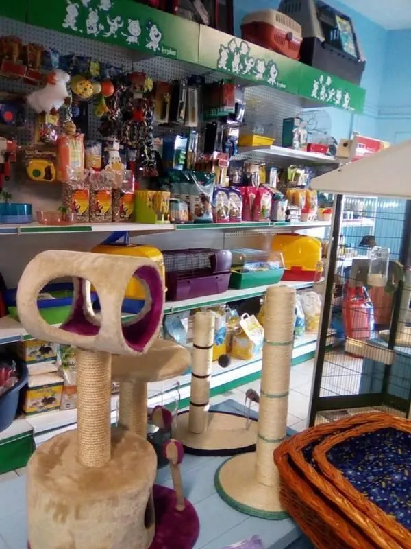 Immagine 6 azienda QUI LA ZAMPA