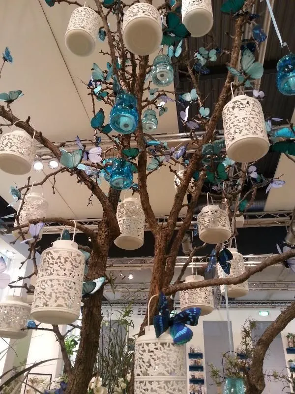 Immagine 3 azienda TOSI GIANNINO 1950