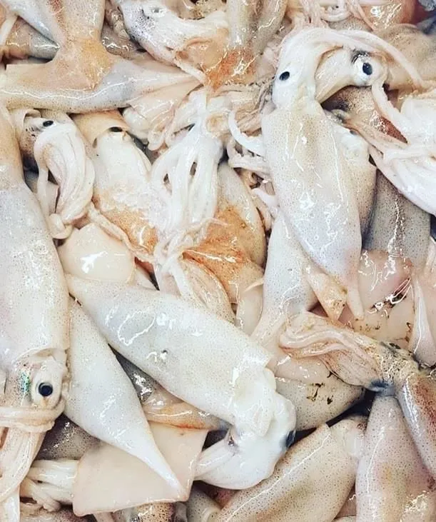 Immagine 3 azienda PESCHERIA VIRGILIO