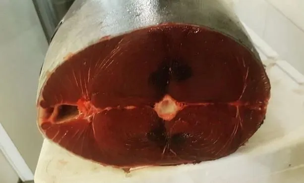 Immagine 8 azienda PESCHERIA VIRGILIO