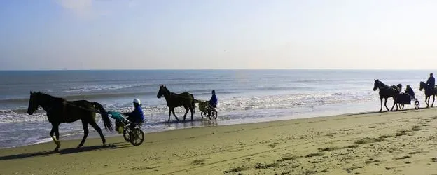 Immagine 1 azienda AGENZIA IMMOBILIARE RAVENNA SERVIZI