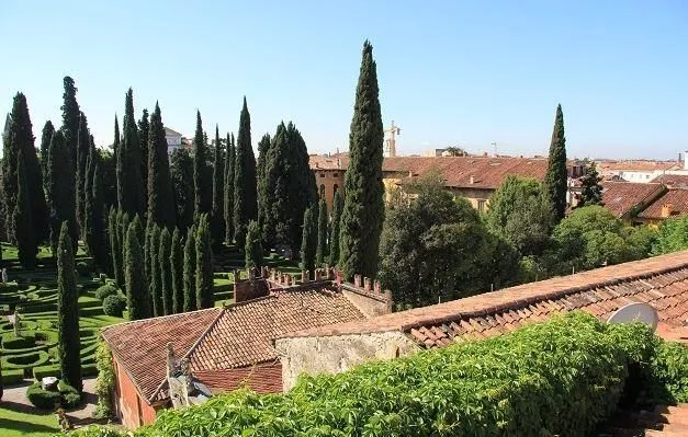 Immagine 1 azienda CASA DI RIPOSO SILVIO SILVATICI CAMPOSTRINI