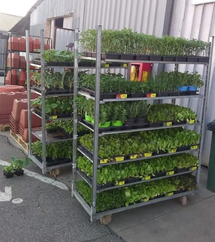 Immagine 1 azienda COOPERATIVA PRODUTTORI AGRICOLI DI CIVITAVECCHIA S.R.L.