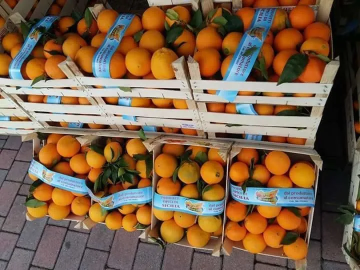 Immagine 8 azienda VERO SAPORE DI SICILIA