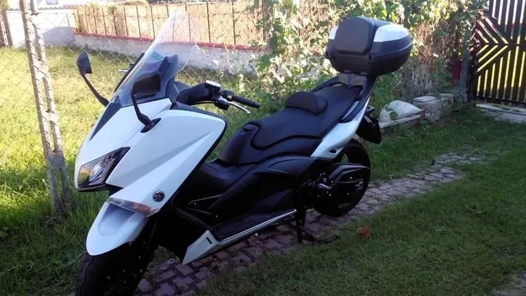 Immagine 7 azienda BORGIA TRASPORTI