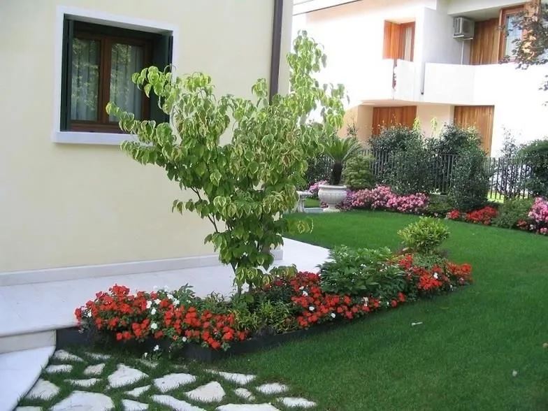 Immagine 1 azienda COLAZZO SERVICE