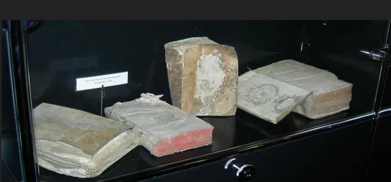 Immagine 4 azienda CASA DI RIPOSO SILVIO SILVATICI CAMPOSTRINI