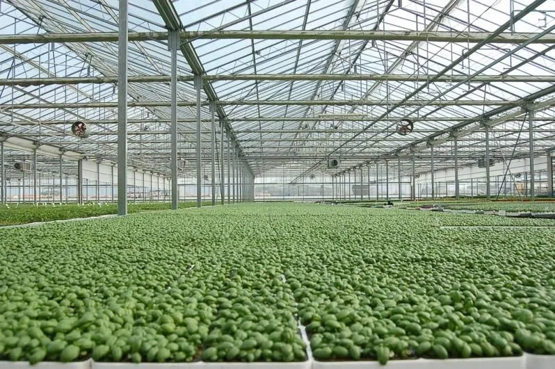 Immagine 2 azienda L'ORTOFRUTTIFERO