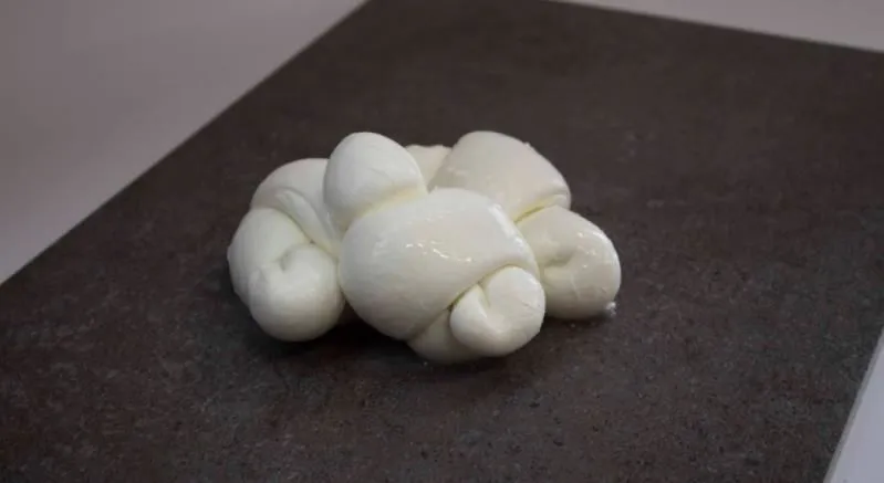 Immagine 7 azienda LA PERLA BIANCA MOZZARELLA DI BUFALA