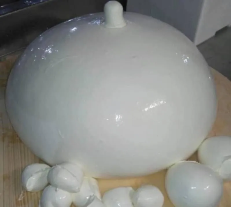 Immagine 2 azienda LA CONTADINA MOZZARELLA DI BUFALA CAMPANA