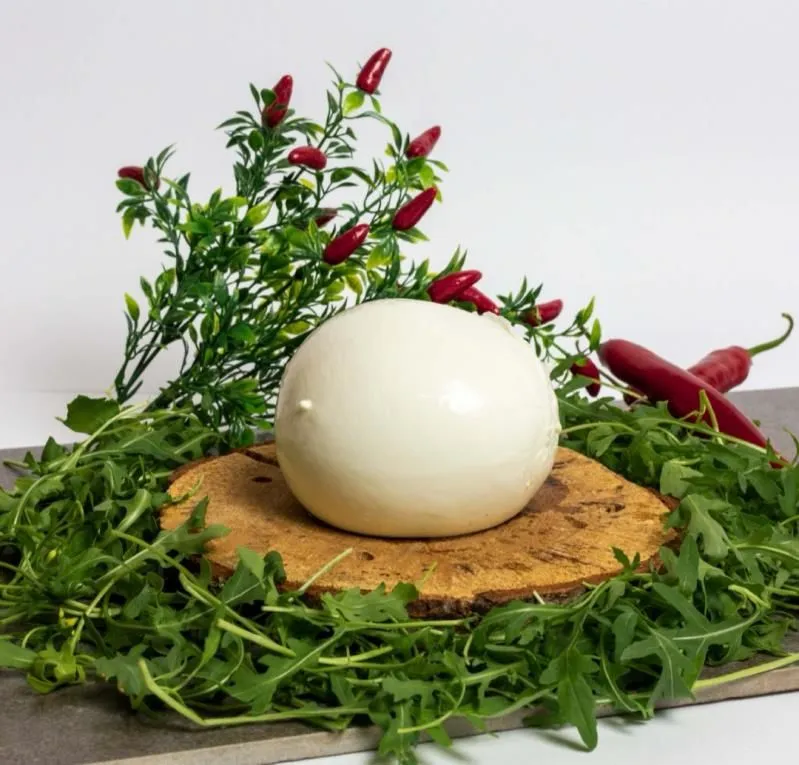 Immagine 8 azienda LA PERLA BIANCA MOZZARELLA DI BUFALA