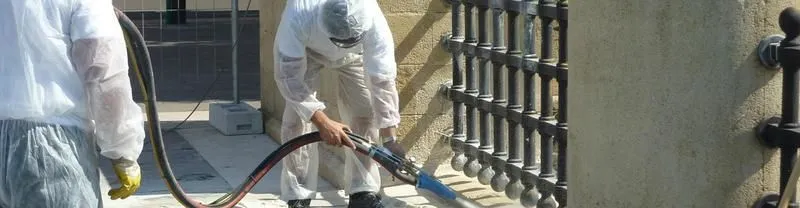 Immagine 4 azienda SPLENDOR SUD