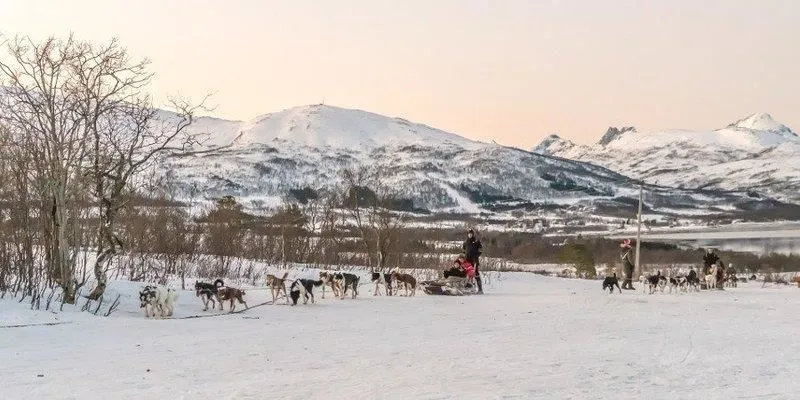 Immagine 3 azienda VIAGGI PINARELLA