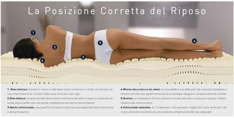 Immagine 3 azienda CASA DEI MATERASSI