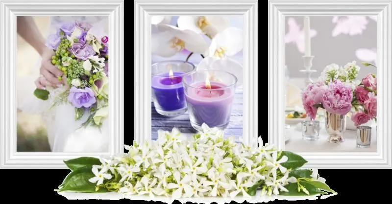 Immagine 1 azienda FIORI D'ARANCIO