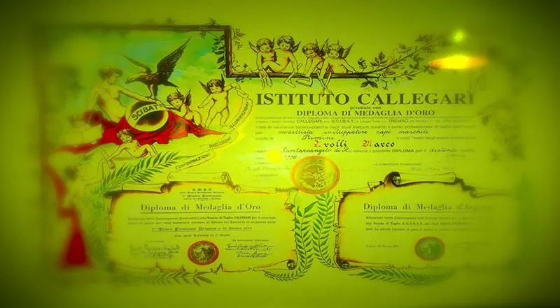 Immagine 8 azienda FASHION CONSULTING