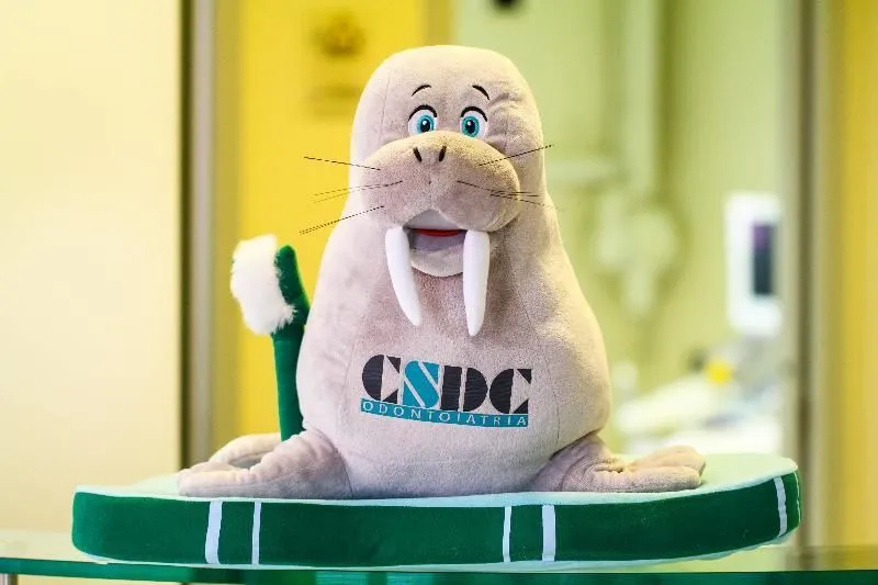 Immagine 2 azienda CSDC ODONTOIATRIA COMO