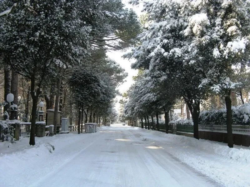 Immagine 2 azienda AGENZIA IMMOBILIARE RAVENNA SERVIZI