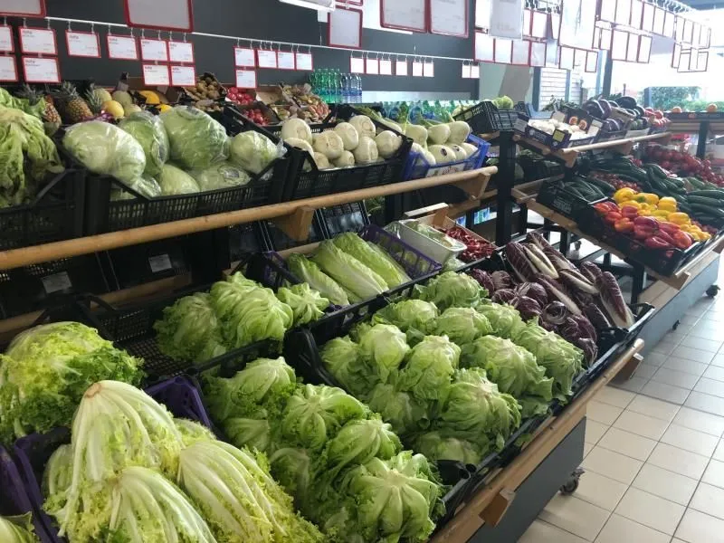 Immagine 6 azienda MAX PI