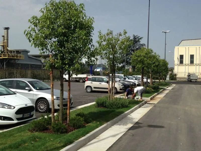 Immagine 6 azienda VIVAI MAISTO ANTONIO E FRANCESCO