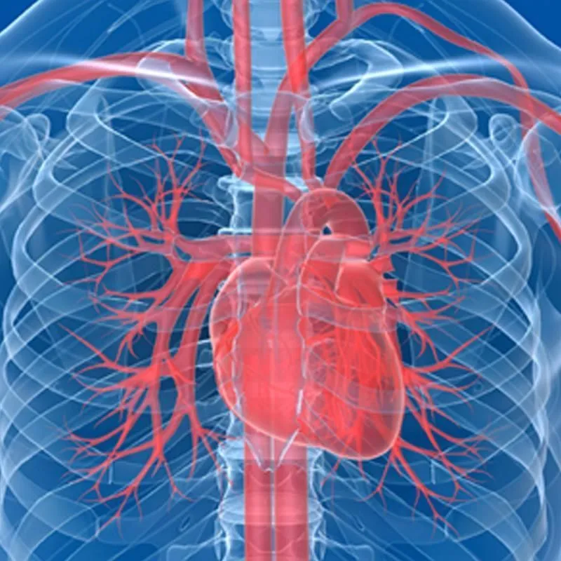 Immagine 4 azienda CENTRO CARDIOLOGICO VESUVIANO