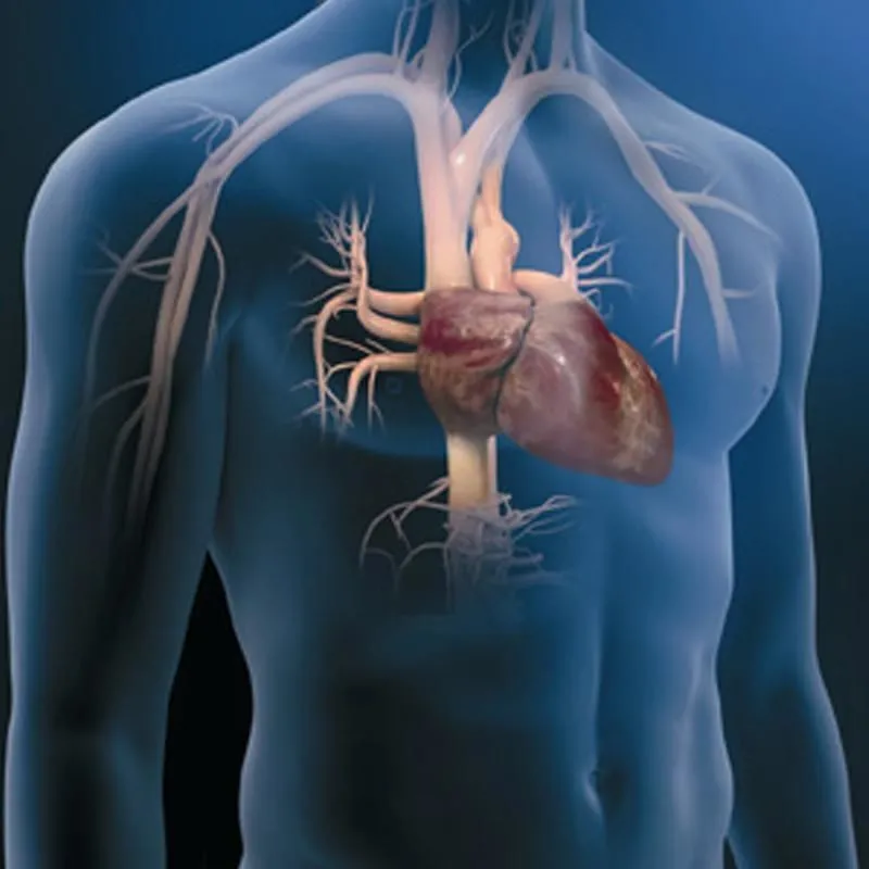 Immagine 5 azienda CENTRO CARDIOLOGICO VESUVIANO