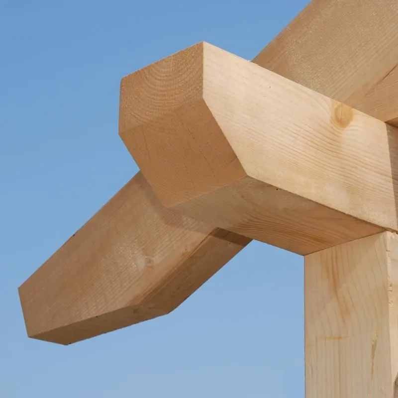 Immagine 8 azienda GREEN HOUSE CASE ECOLOGICHE