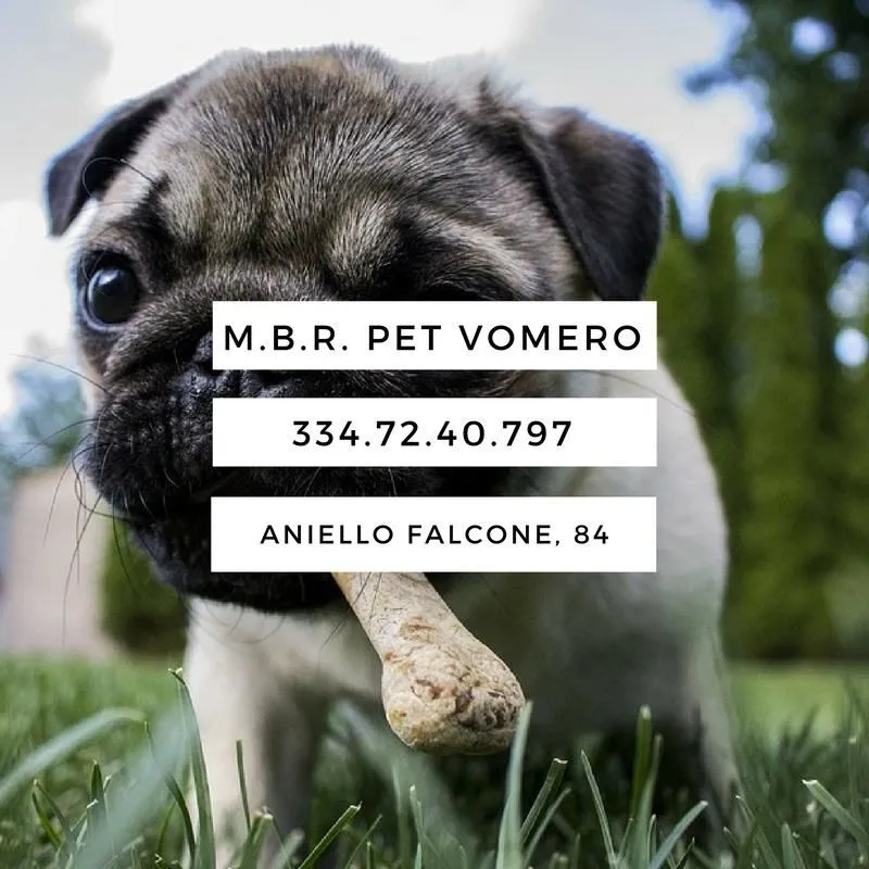 Immagine 1 azienda M.B.R. PET VOMERO