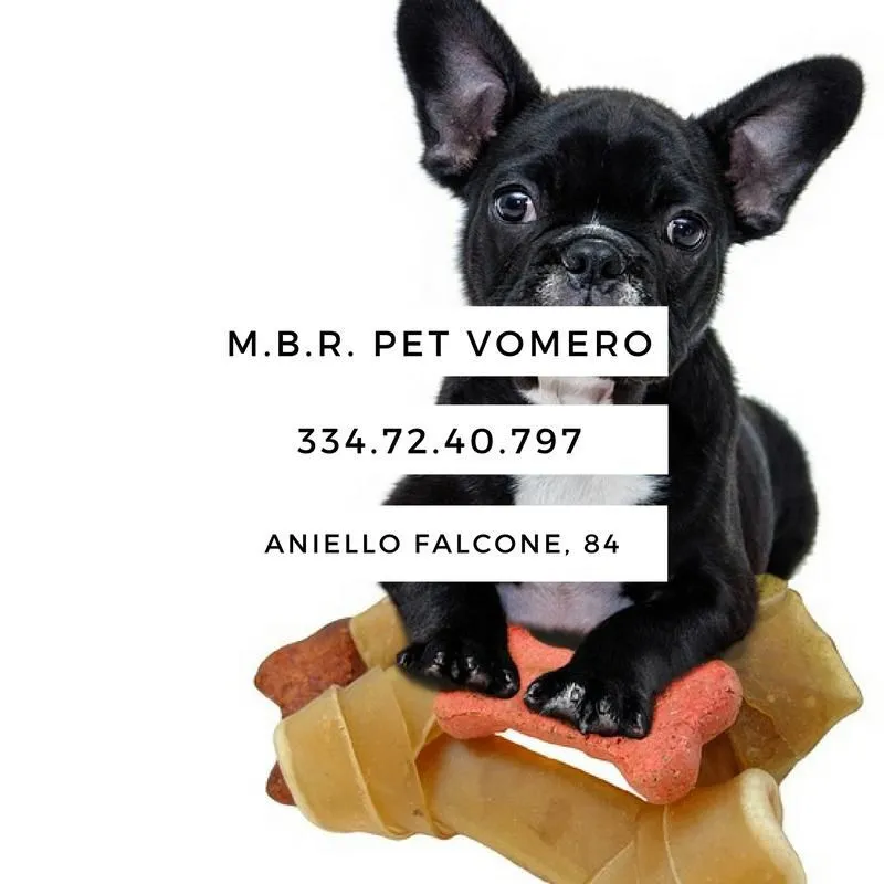 Immagine 5 azienda M.B.R. PET VOMERO