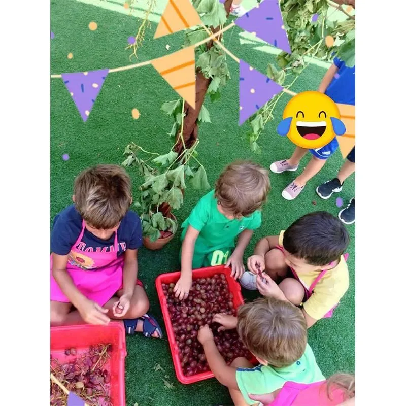 Immagine 7 azienda SCUOLA DELL'INFANZIA PARITARIA IL GIRASOLE