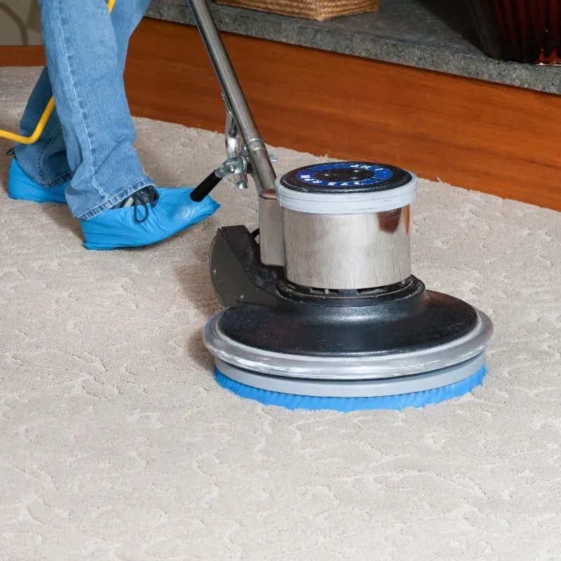 Immagine 5 azienda SPLENDOR SUD