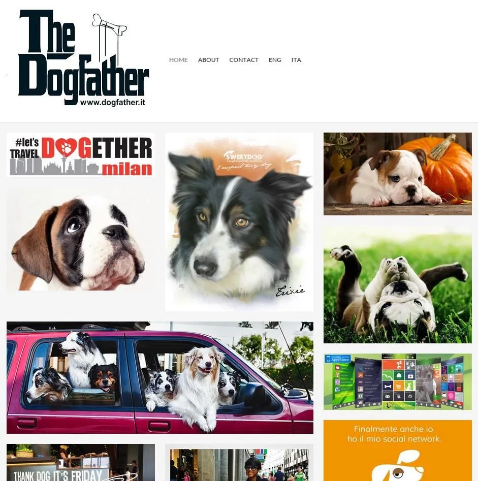 Immagine 3 azienda DIGITALE NETWORK DI G.FACCHINI