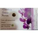 FIORISTA SENESE COLLI AMINEI Shopping e acquisti in Napoli