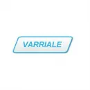 RENATO VARRIALE E C. Veicoli in Napoli