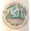 LAVANDERIA CASAVECCHIA SRL Shopping e acquisti in Bagno A Ripoli FI