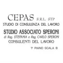 CEPAS S.R.L. STP Servizi professionali in Busto Arsizio VA