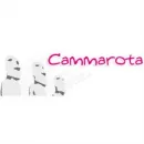 CAMMAROTA VIAGGI - BUS E LIMO SERVICE Viaggi e turismo in Napoli