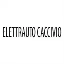 ELETTRAUTO CACCIVIO Veicoli in Malnate VA