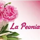 RIZZA LUIGI Shopping e acquisti in Ispica