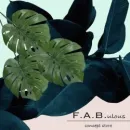 F.A.B. ULOUS Shopping e acquisti in Cantù