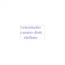 VETERINARIO CARUSO DR. STEFANO Veterinario in Varese