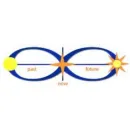 ASSOFIDI.IT Servizi legali e finanziari in Ravenna