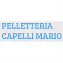 PELLETTERIA CAPELLI MARIO Shopping e acquisti in Bulgarograsso